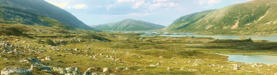 Galå Fjällgård panorama